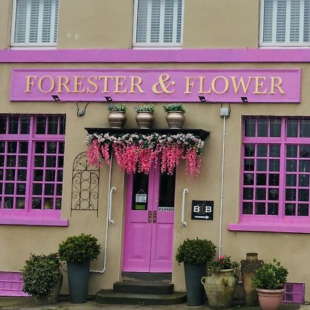 The Forester And Flower Bath Exteriér fotografie